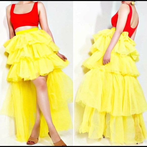 Tulle Skirt - Picture 6 of 7